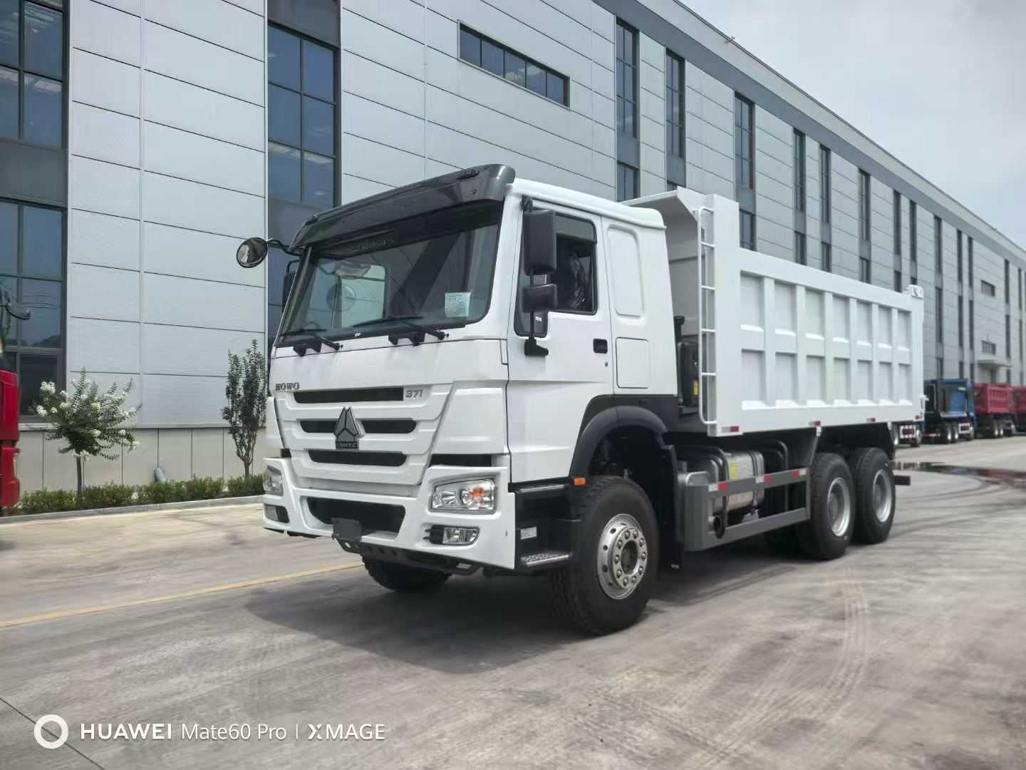 Trucks Synotruk Howo